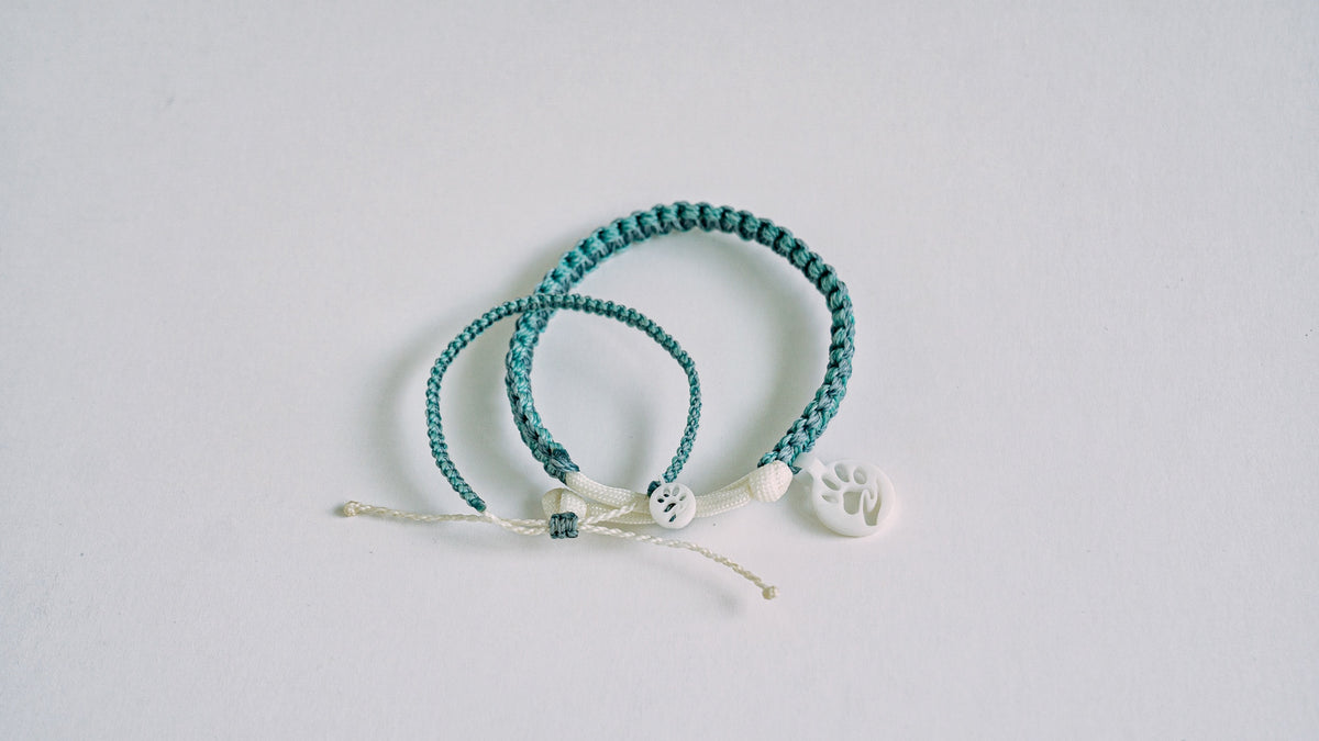 Coastal Companion