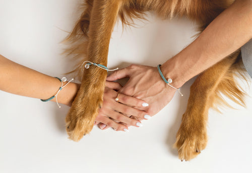 Bracelet - Coastal Companion