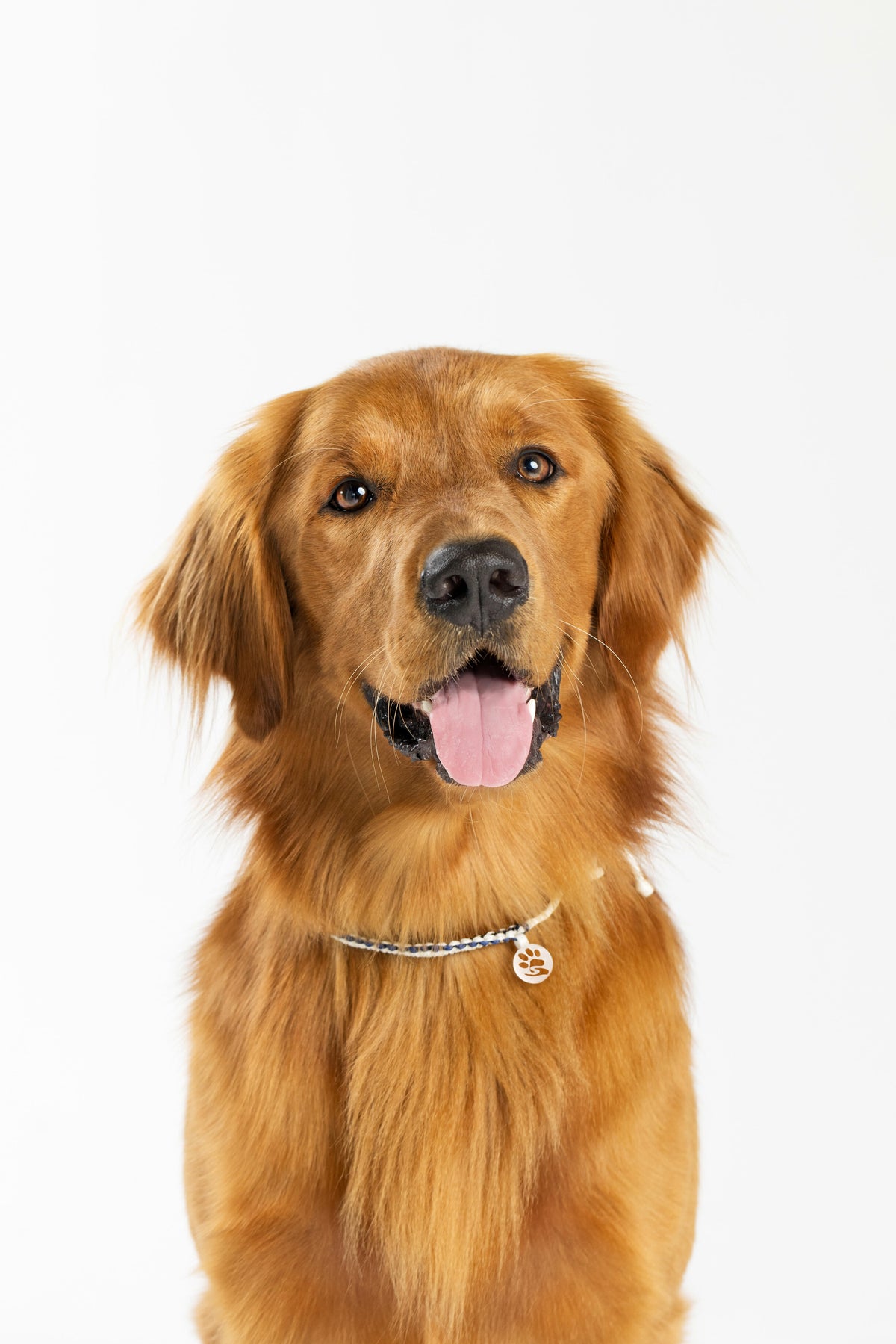 Dog Necklace - Sailor Sidekick